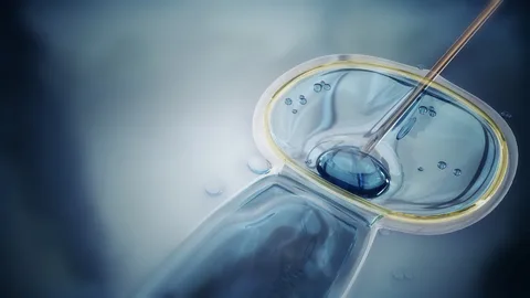 الحقن المجهري فوق سن الاربعين